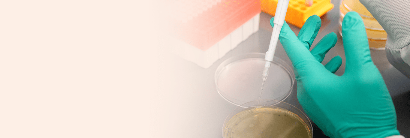 early-career-opportunities-banner