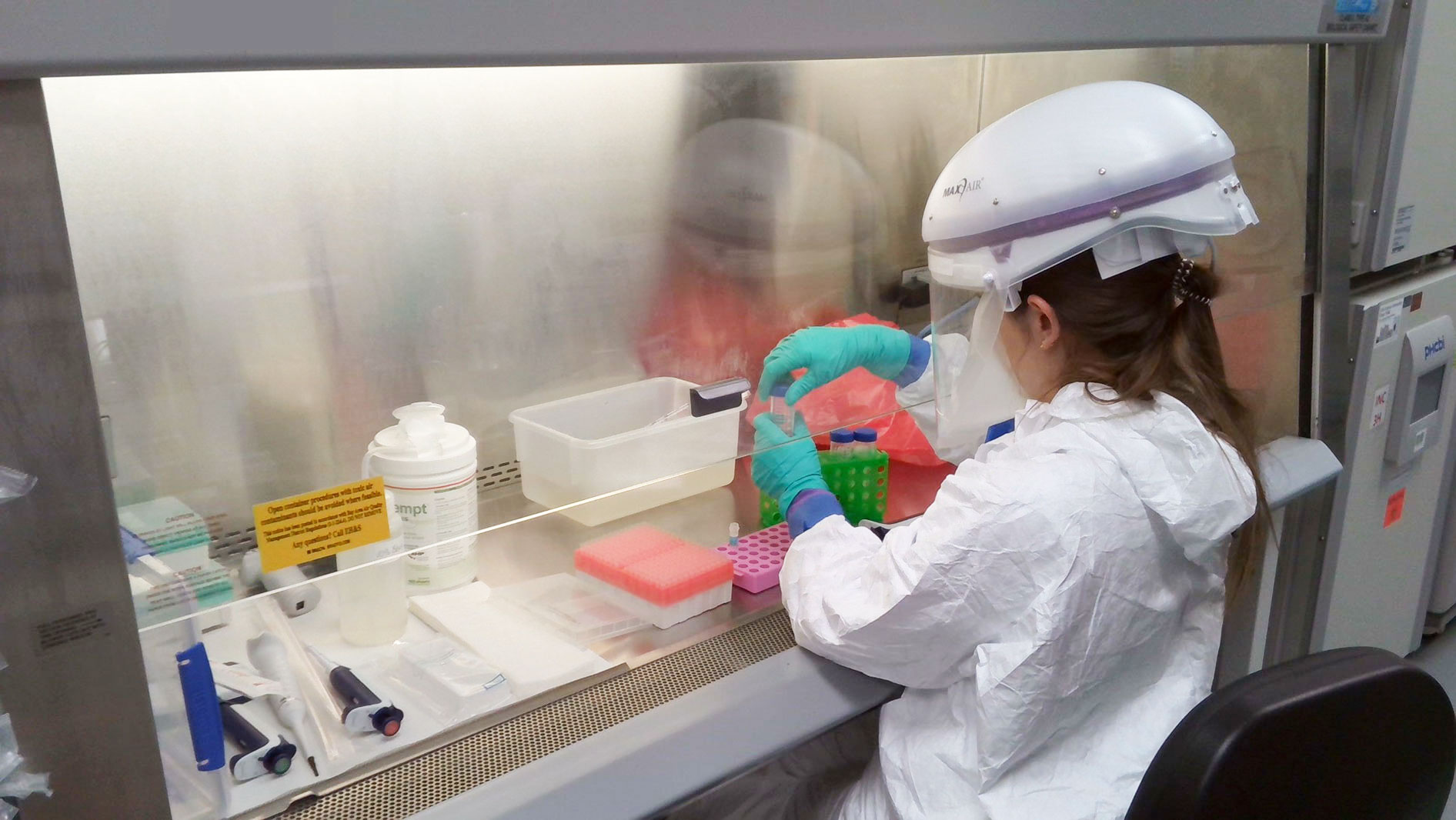 Venice Du Pont, Biology, Discovery Virology, at Gilead.