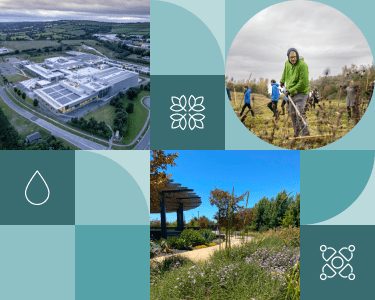 sustainability-banner-mobile